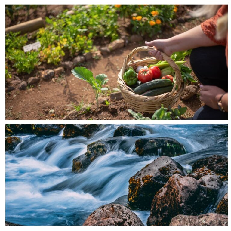 Living Up Gifts from Nature collage of 2 nature pictures