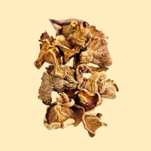 image of Nagrani Dried Chanterelle 