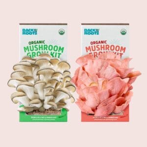 image of Back to the Roots Organic Mushroom Grow Kit