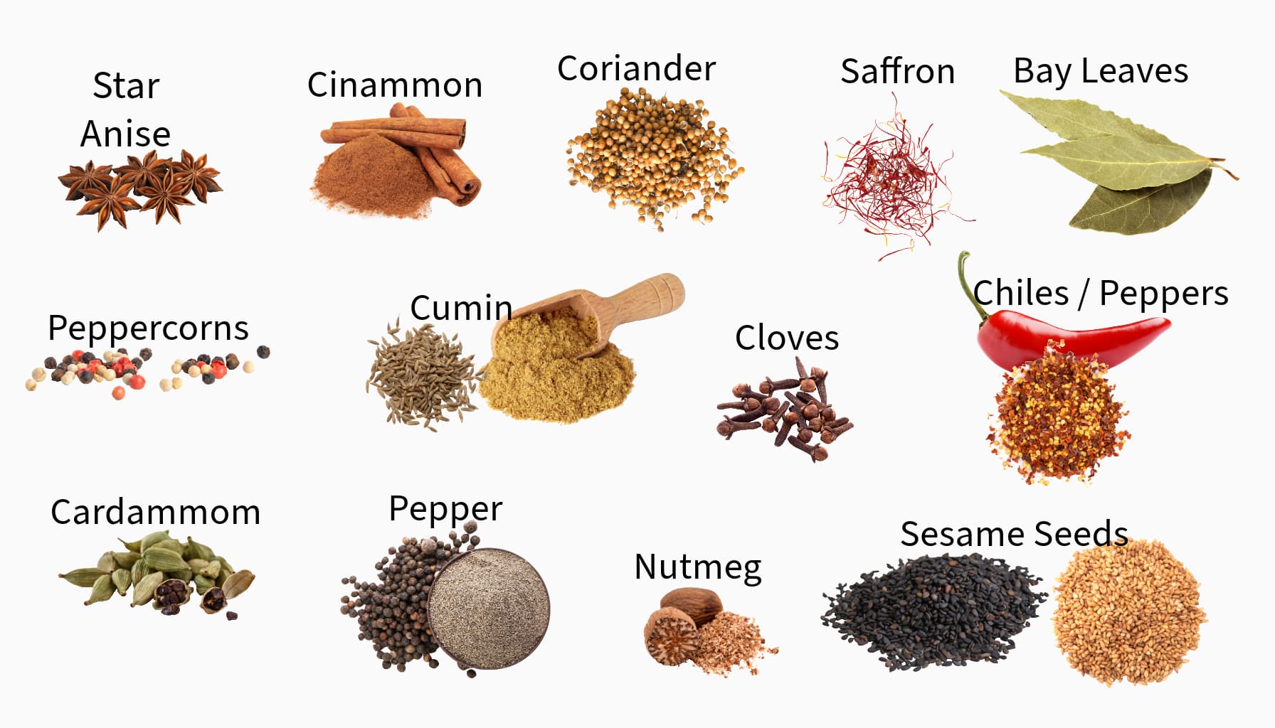 image of the individual spices mentioned in this post