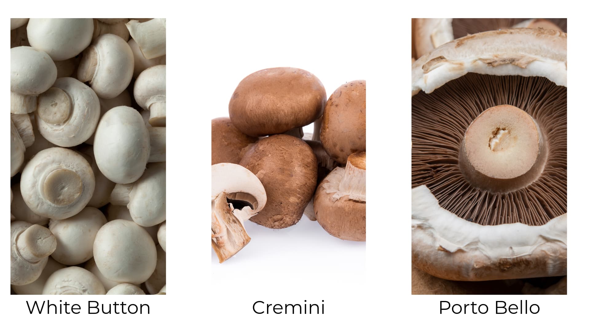 Image of three varieties of the same mushroom, white button, cremini, and portobello for a mushroom recipe