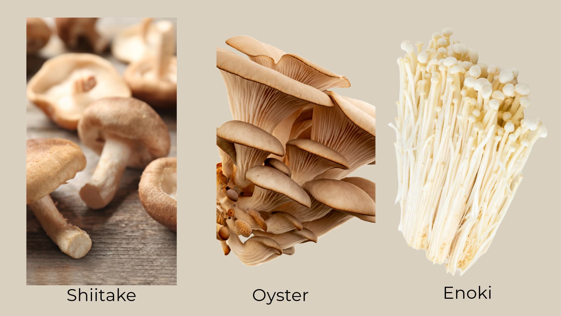 image of shiitake, oyster, and enoki mushrooms for a mushroom recipe