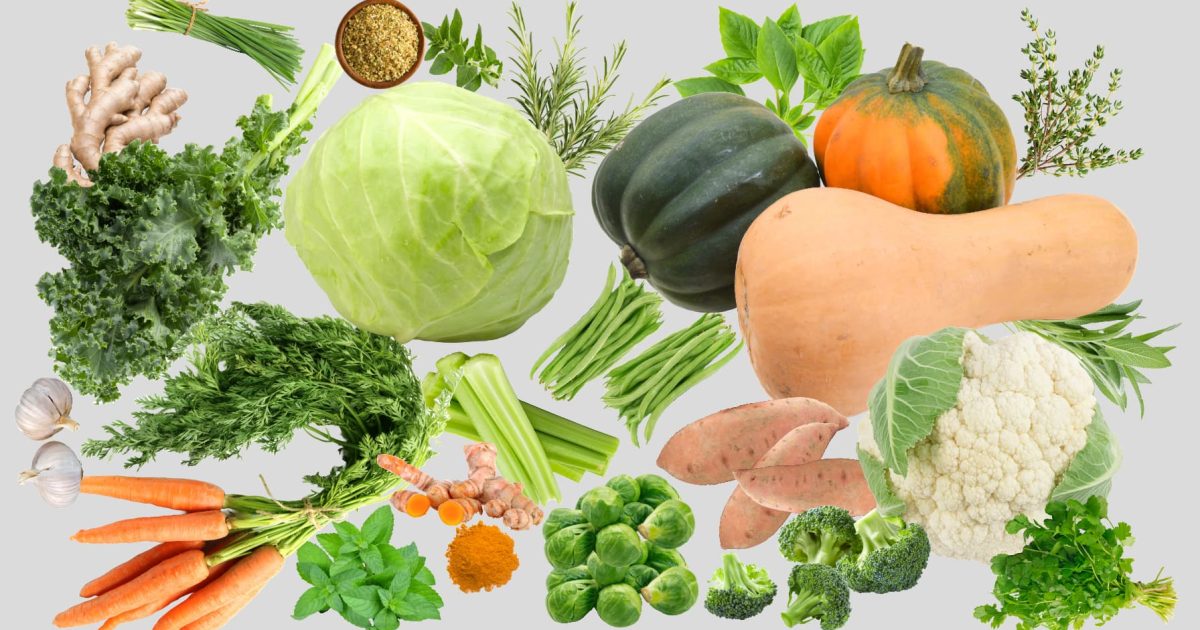 Displays a selection of the Fall fruits and vegetables that will be mentioned in this article