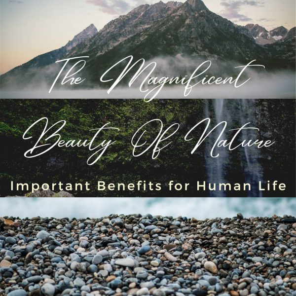 Magnificent beauty and the benefits of nature, image collage of three nature scenes