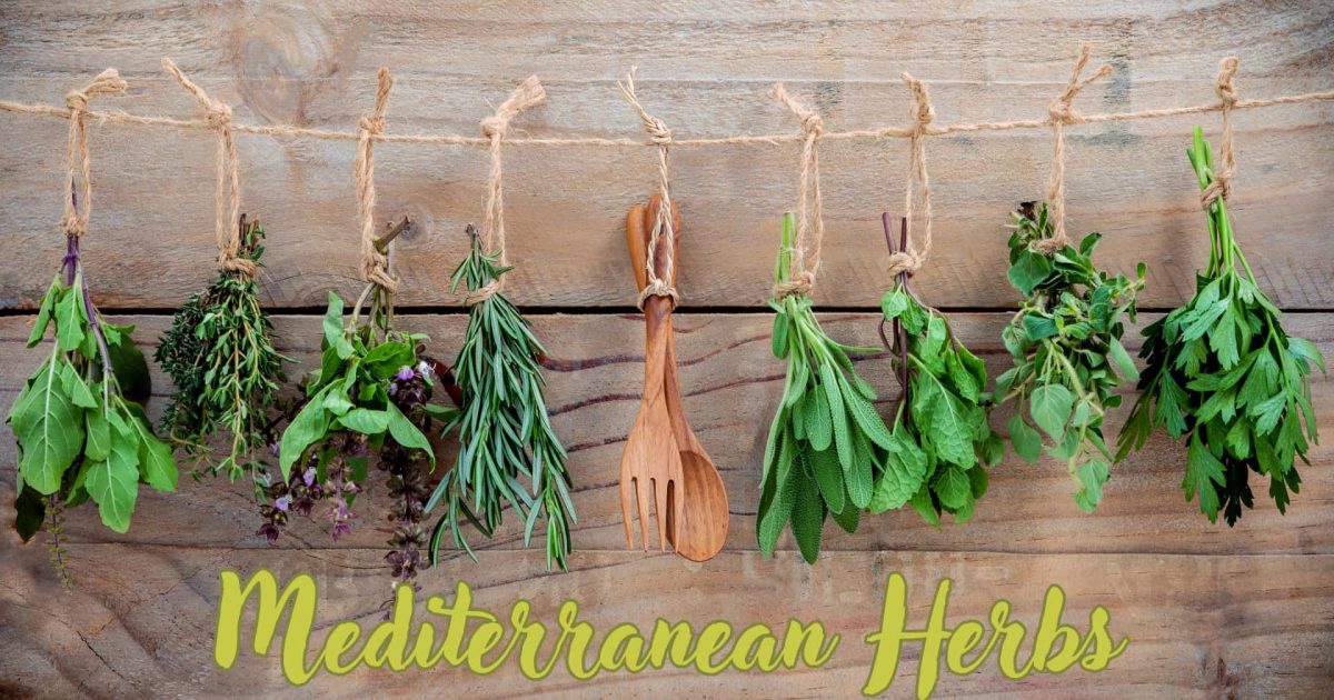image of several fresh herbs hanged upside down to dry with the words Mediterranean Herbs