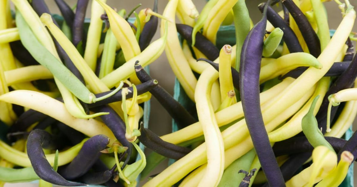 image of yellow and purple green beans