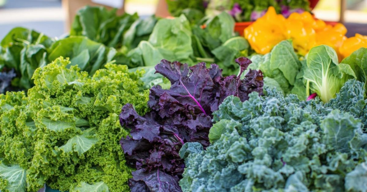 image of kale in three colors
