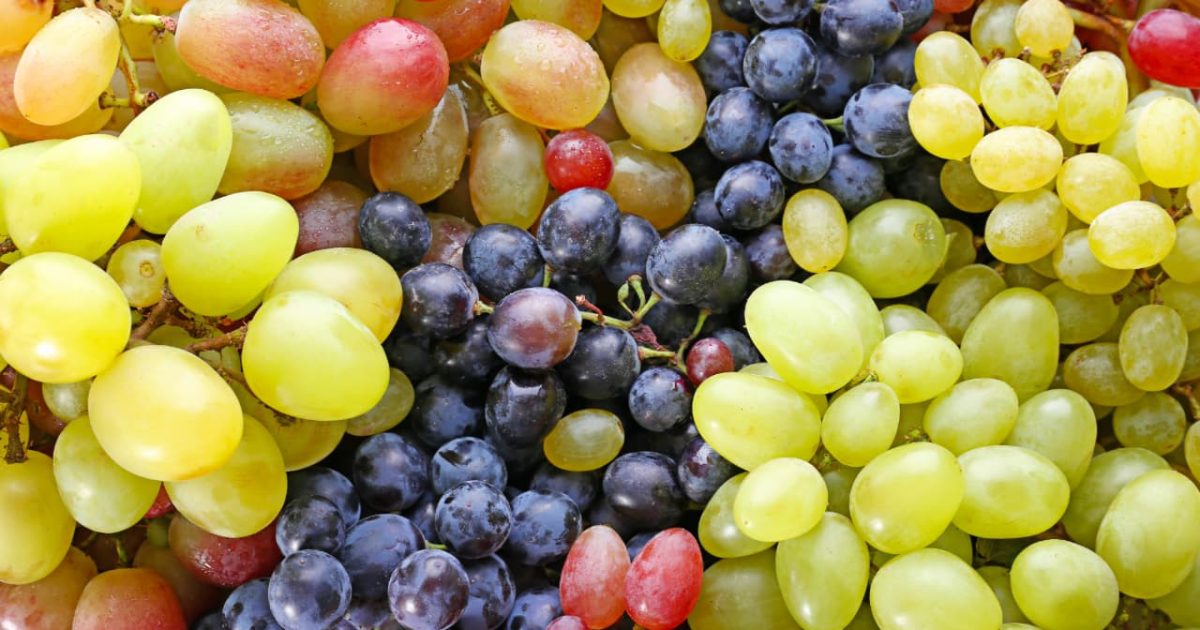 image of grapes of different colors